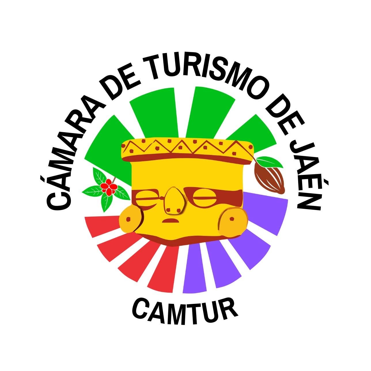 Institución auspiciadora
